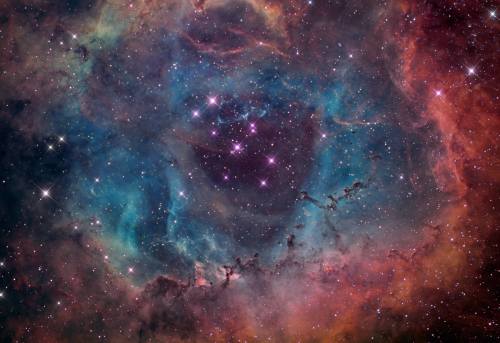 The beautiful rosette nebula. (Photo courtesy of nasa.gov)